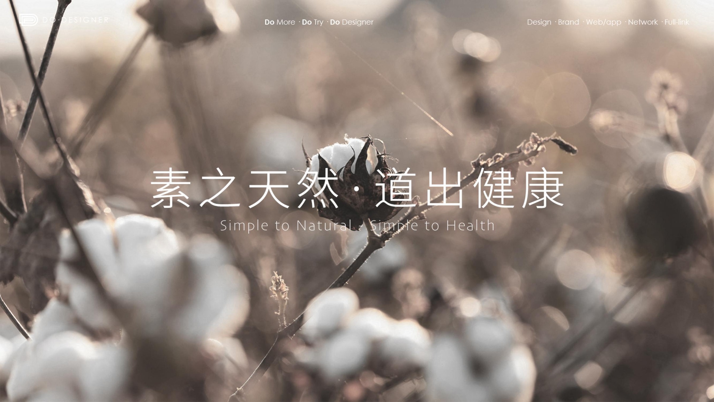 素道有机彩棉品牌LOGO设计案例展示图